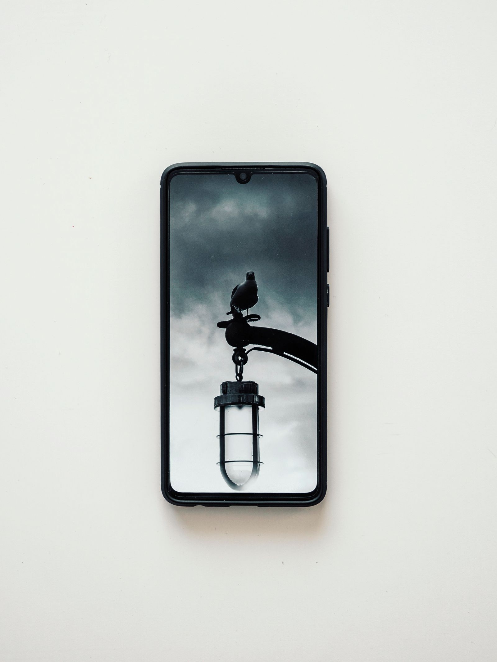 Telefon memaparkan foto burung pada skrin